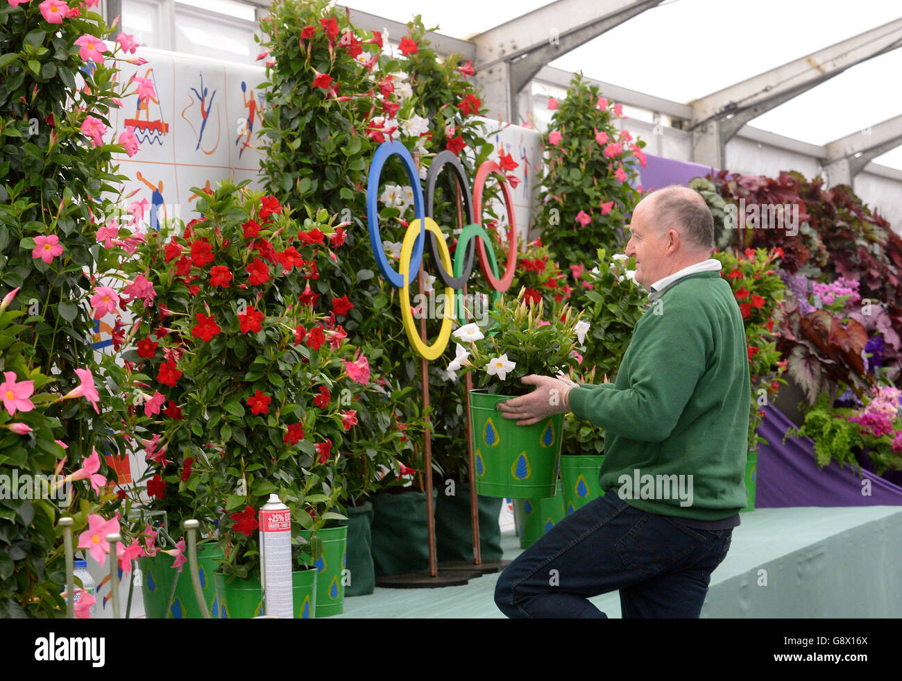 40,000 Predicted For Harrogate Spring Flower Show 40,000 Predicted For Harrogate Spring Flower Show
