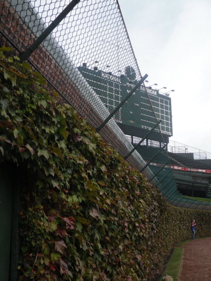Brewers 9, Cubs 7: A Windy Wrigley Field Showdown Brewers 9, Cubs 7: A Windy Wrigley Field Showdown