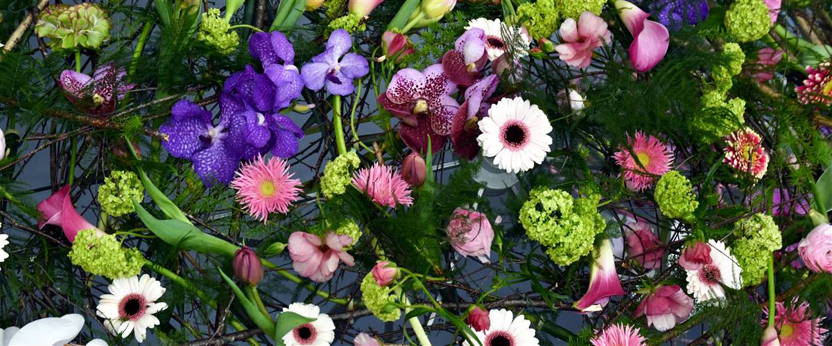 Everything You Need To Know: Harrogate Spring Flower Show (April 24-27, 2025) Everything You Need To Know: Harrogate Spring Flower Show (April 24-27, 2025)