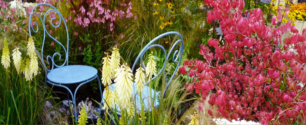 Harrogate Spring Flower Show: April 24th Return Date Announced Harrogate Spring Flower Show: April 24th Return Date Announced