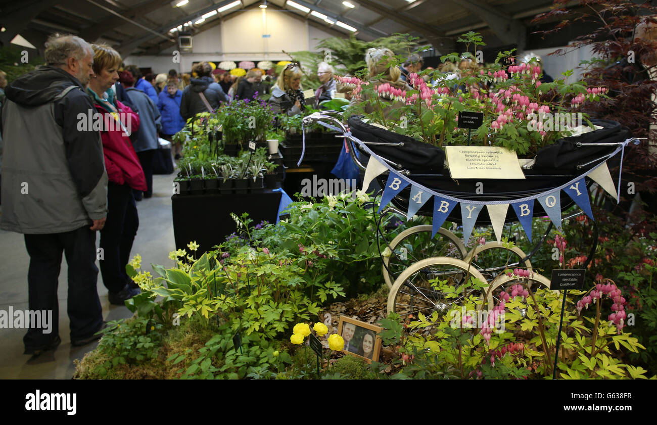 Harrogate Spring Flower Show Returns April 24th Harrogate Spring Flower Show Returns April 24th