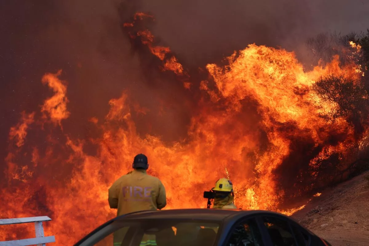 Los Angeles Wildfires: A Societal Commentary Through The Lens Of Gambling Los Angeles Wildfires: A Societal Commentary Through The Lens Of Gambling