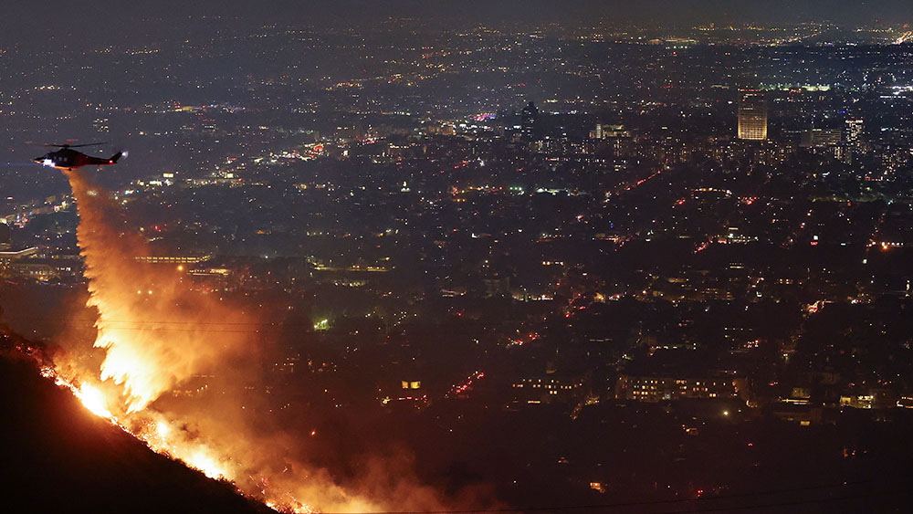 Los Angeles Wildfires: The Disturbing Trend Of Disaster Betting Los Angeles Wildfires: The Disturbing Trend Of Disaster Betting