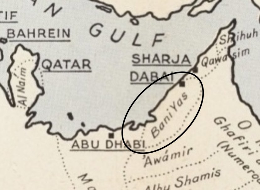 منتدى أبوظبي: نقلة نوعية في الابتكار بقطاع طب الحياة الصحية المديدة منتدى أبوظبي: نقلة نوعية في الابتكار بقطاع طب الحياة الصحية المديدة