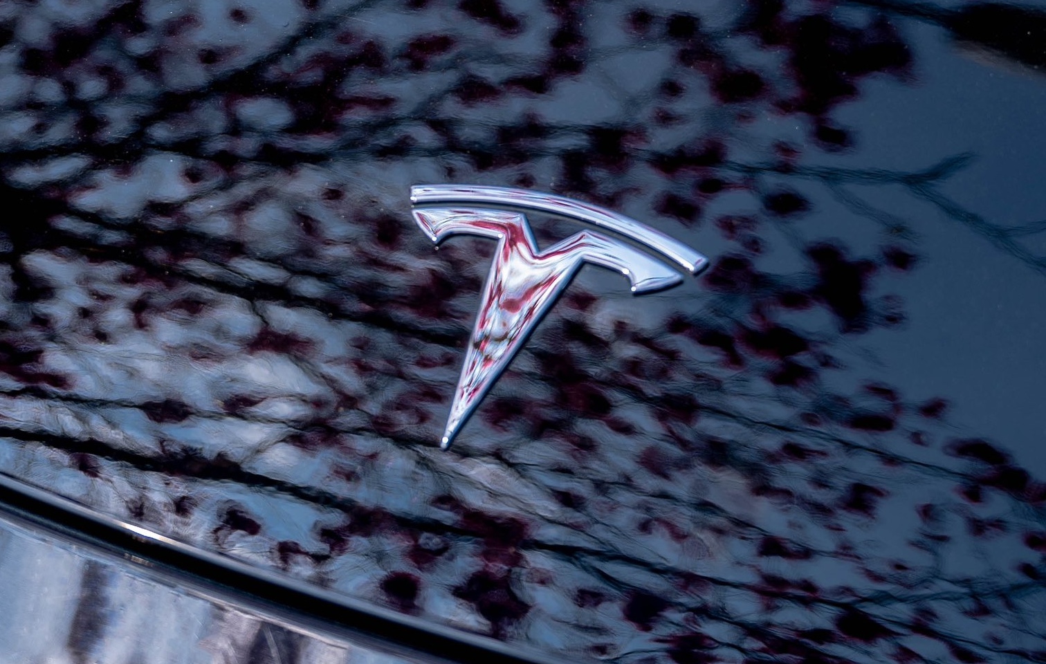 Q1 2024: Tesla's Financial Performance And The Musk Effect Q1 2024: Tesla's Financial Performance And The Musk Effect