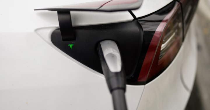 Resistance Mounts: Car Dealers Challenge EV Mandate Resistance Mounts: Car Dealers Challenge EV Mandate