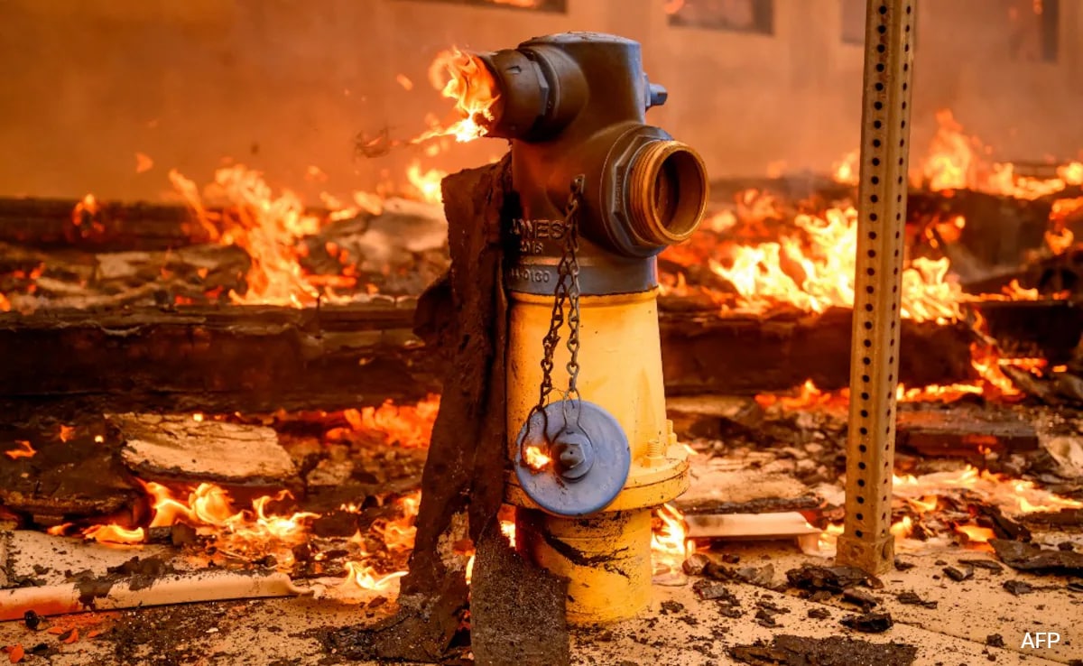 The Ethics Of Wildfire Betting: Examining The Los Angeles Situation The Ethics Of Wildfire Betting: Examining The Los Angeles Situation